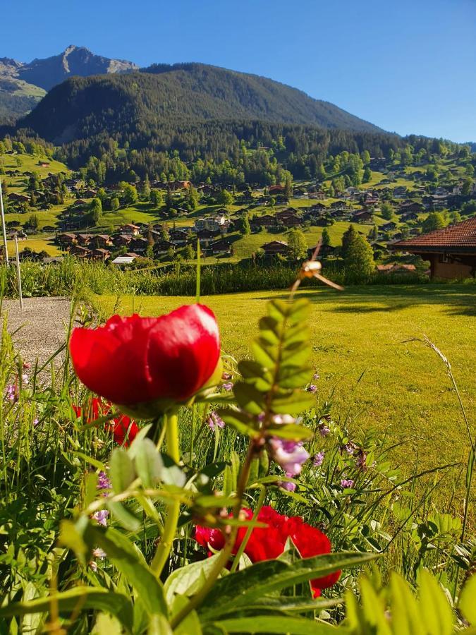 Apartment Lilalama Grindelwald Exteriör bild